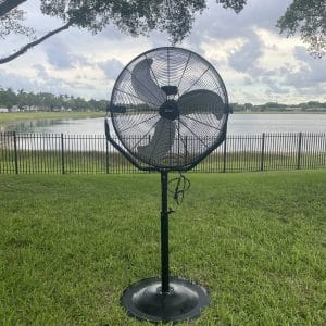 30" Pedestal Fan